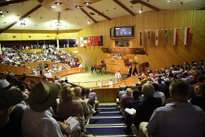 Sales Ring Auditorium